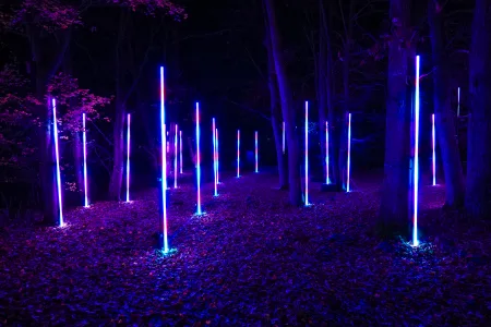 Lightscape