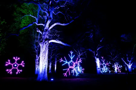 Lightscape